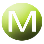 MaximiseIT Logo